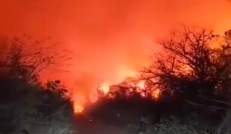 Incendios y políticas ambiental y forestal (*)