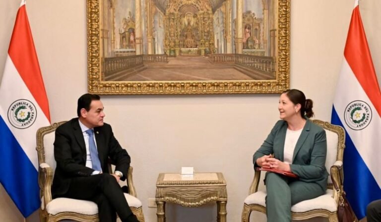 ONG en Paraguay: entre el desarrollo y la dependencia externa